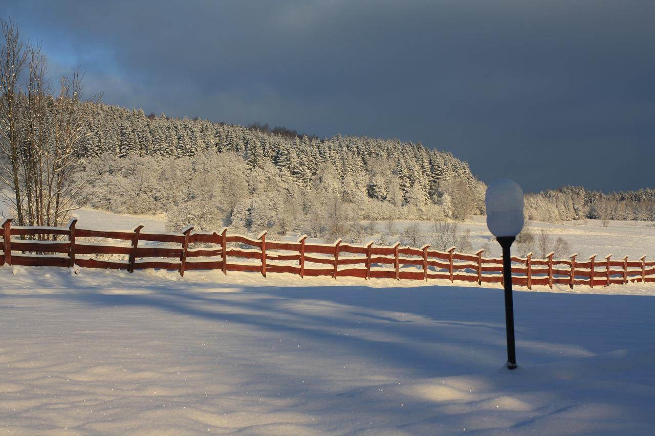 Dom Na Klonowym Wzgorzu Bed & Breakfast Stronie Slaskie Exterior photo
