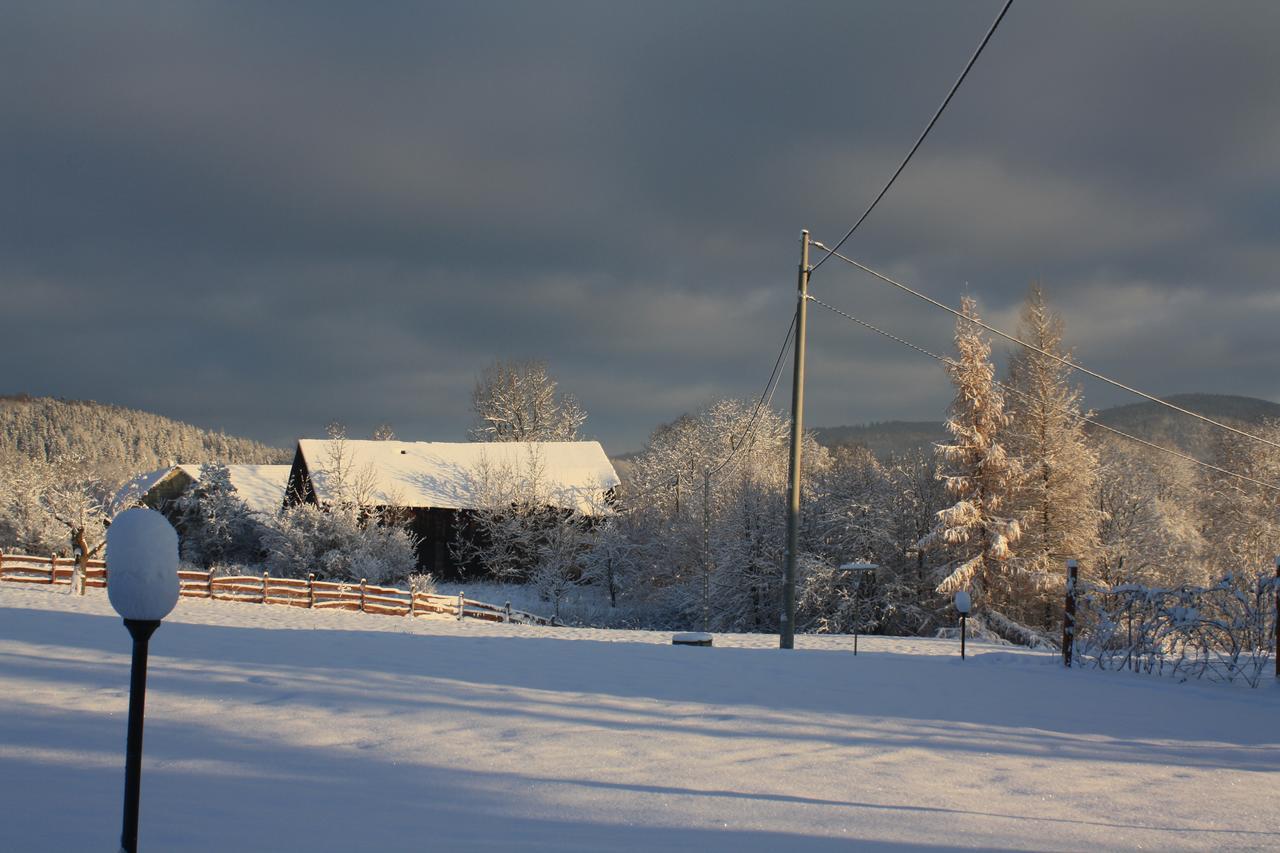 Dom Na Klonowym Wzgorzu Bed & Breakfast Stronie Slaskie Exterior photo