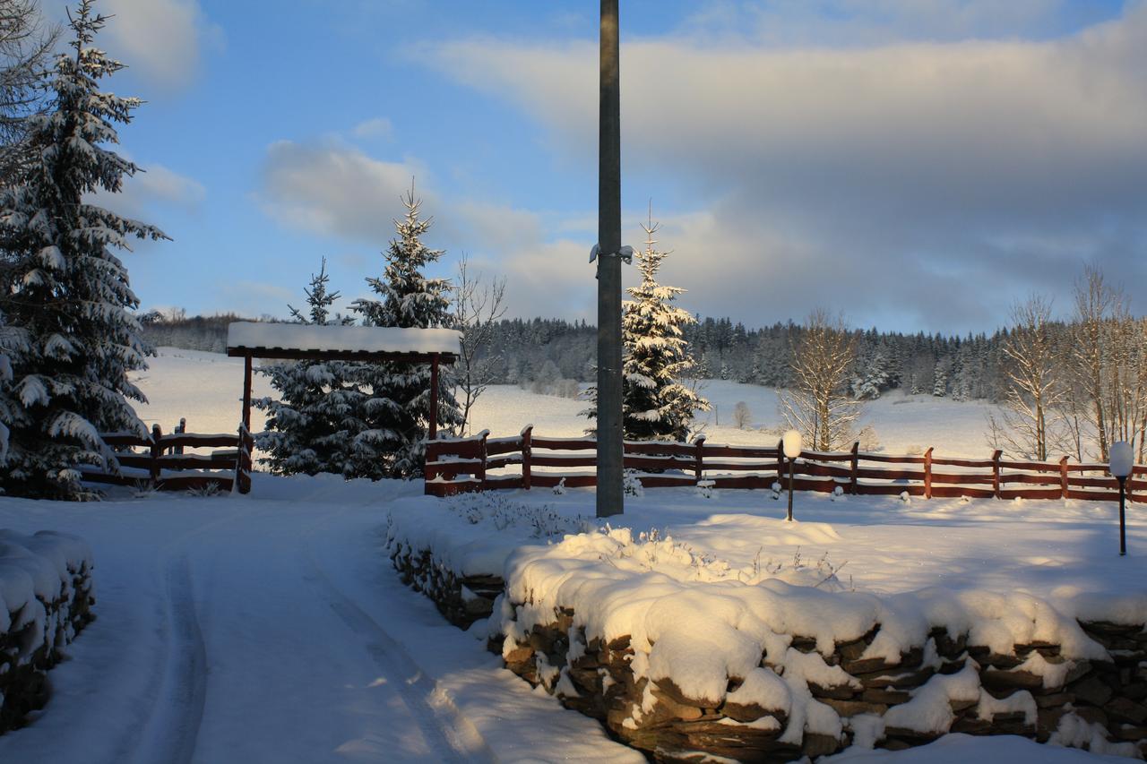 Dom Na Klonowym Wzgorzu Bed & Breakfast Stronie Slaskie Exterior photo