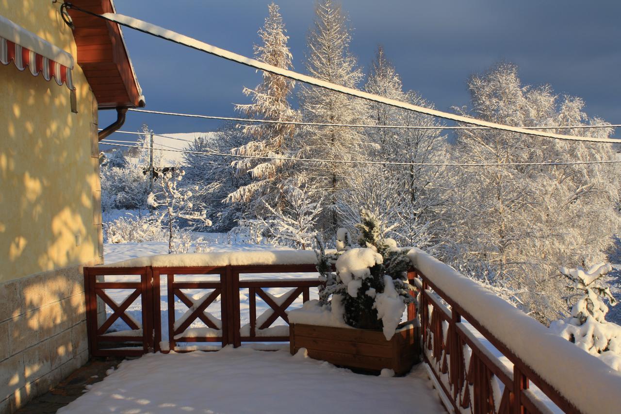 Dom Na Klonowym Wzgorzu Bed & Breakfast Stronie Slaskie Exterior photo