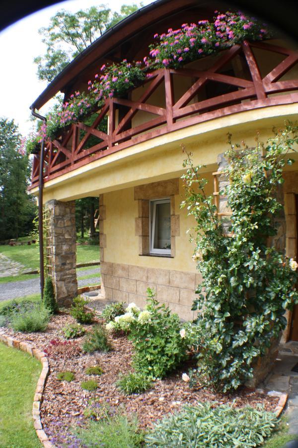 Dom Na Klonowym Wzgorzu Bed & Breakfast Stronie Slaskie Exterior photo