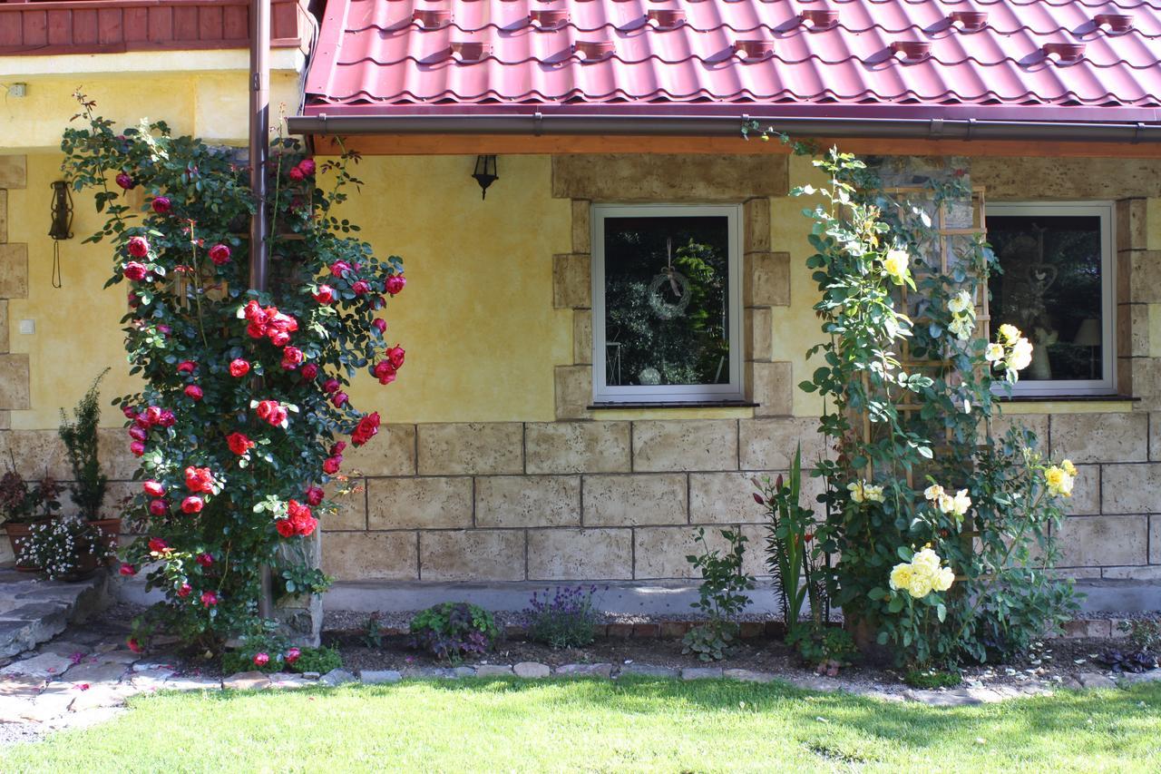 Dom Na Klonowym Wzgorzu Bed & Breakfast Stronie Slaskie Exterior photo