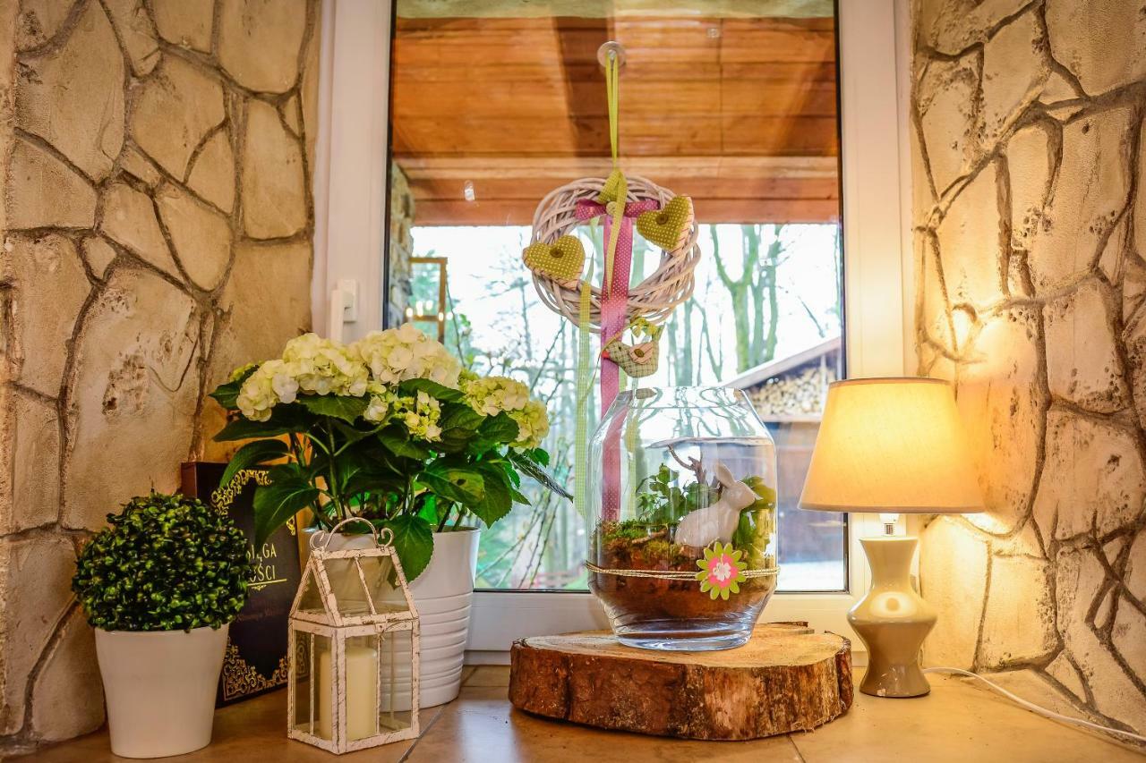 Dom Na Klonowym Wzgorzu Bed & Breakfast Stronie Slaskie Exterior photo